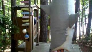 Shark Shower Lake Sinclair Georgia