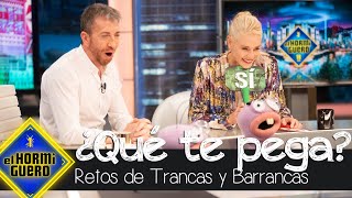 ¿Qué le pega a Belén Rueda? Las hormigas analizan su comportamiento  El Hormiguero