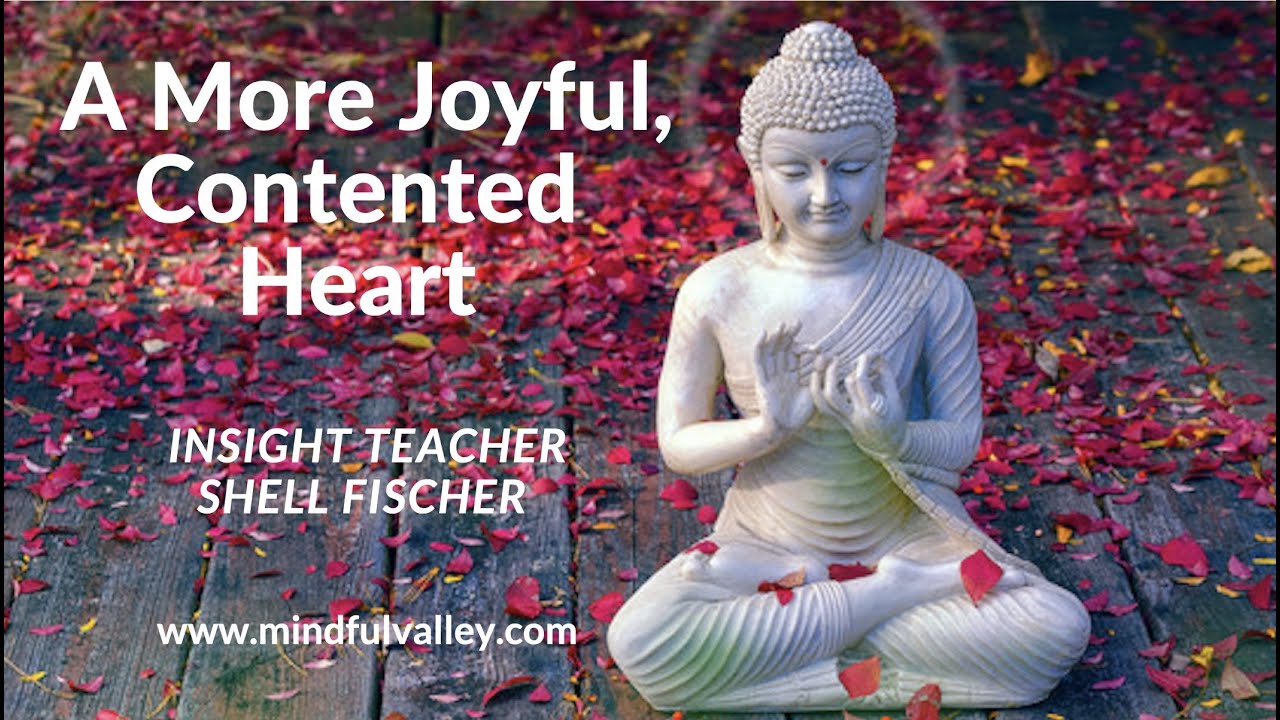 A More Joyful, Contented Heart Shell Fischer, Dharma Talk YouTube