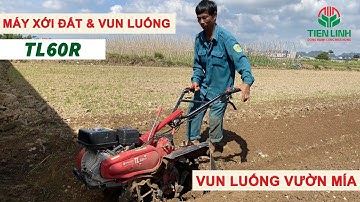 Máy TL60R Vun (tạt) luống vườn mía  - Máy xới đất & vun luống 2 trong 1 - MỚI NHẤT 2023