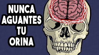 Esta mujer aguantó la orina durante 6 horas, esto es lo que le pasó a su cerebro