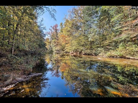 230 Cedar Shoals Way, Blythewood, SC home video tour