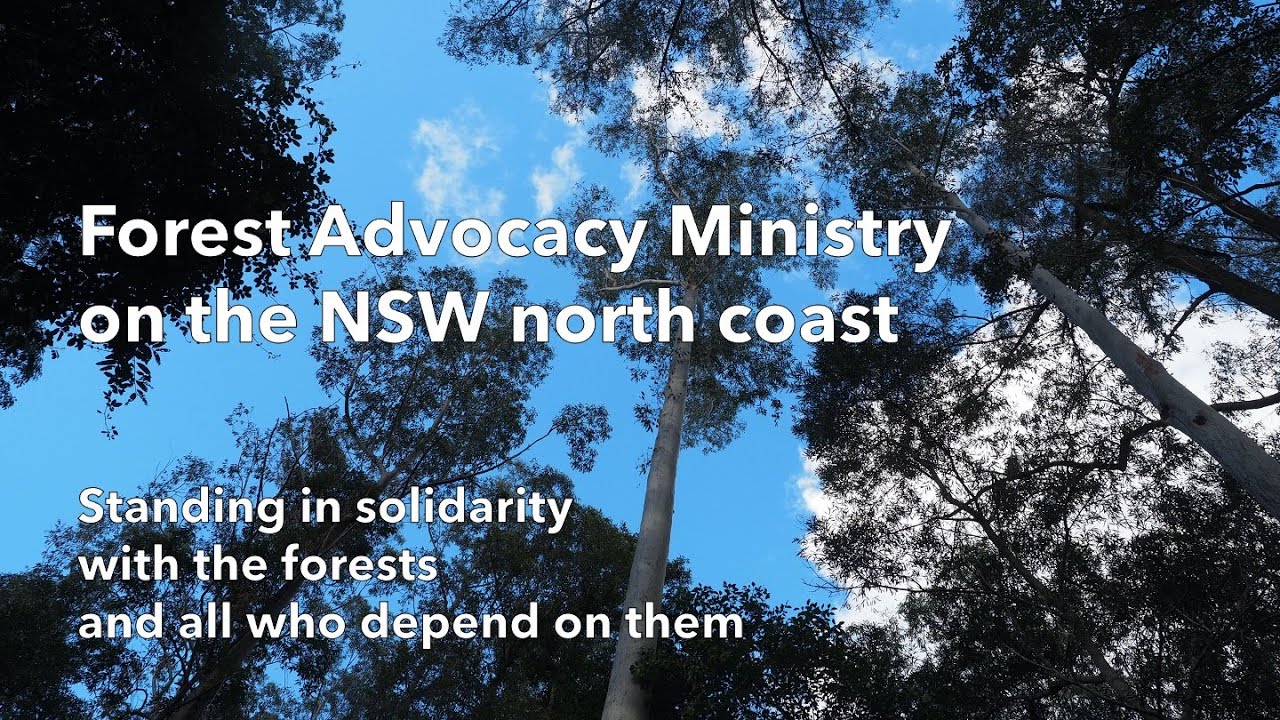 The trees and creatures of the forests in NSW are in crisis, due to bushfires, logging and climate change. The Forest Advocacy Ministry of the Uniting Church is increasing Christians' involvement in the forest protection struggle, for the sake of God's good creation. (Short version)