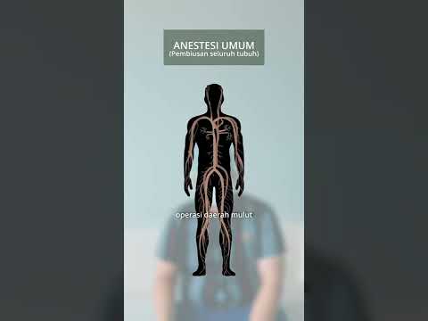 Video: Di mana anestesi lokal bekerja?