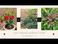 Tiny Urban Garden Tour May 2023 in Houston, TX | Glow-up and full garden tour with plant names!