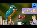 Urdu گرامر مکالمہ نگاری درزی خانے میں Urdu گرامر مکالمہ نگاری درزی خانے میں