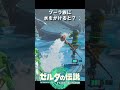 【ティアキン】任天堂の作り込みがすごい【小ネタ】
