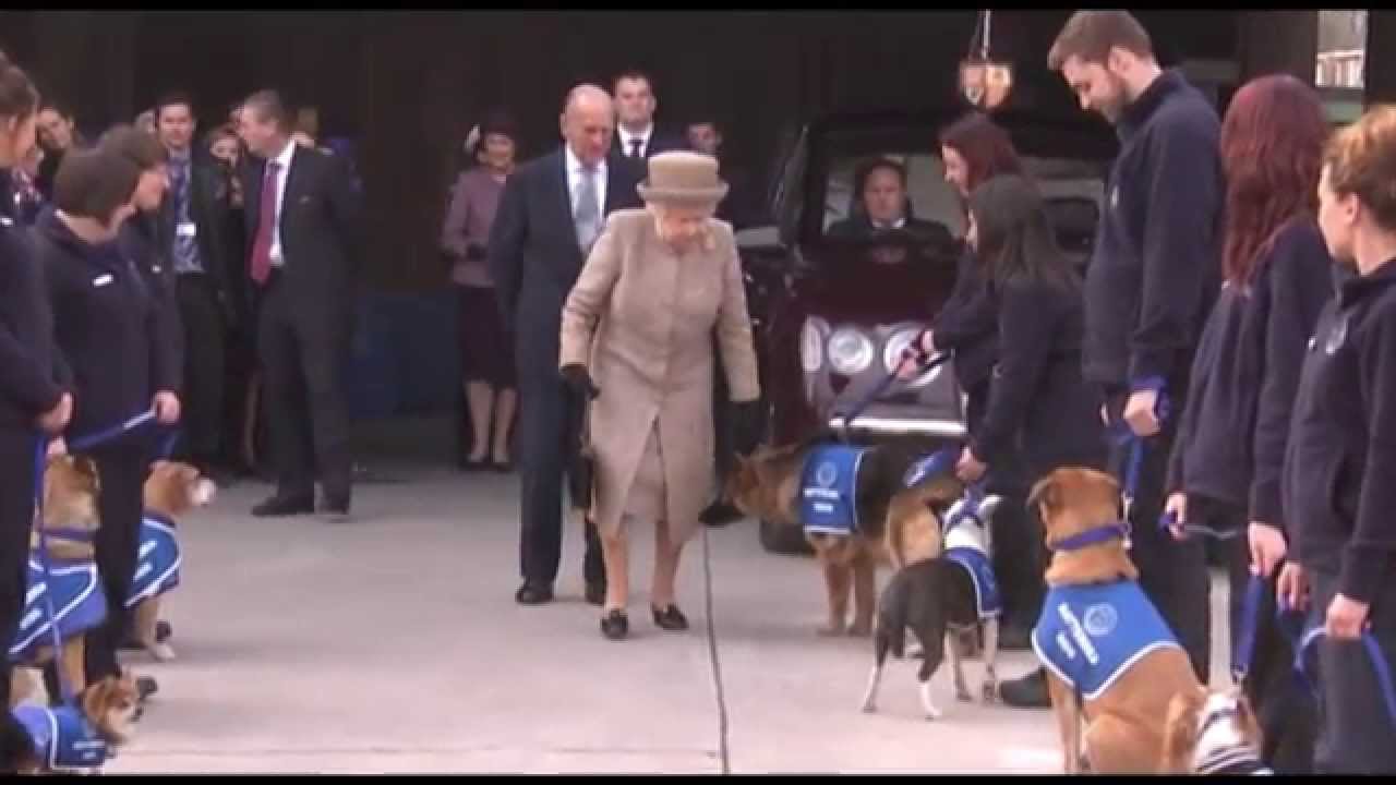 prince ali lyrics The Queen at Battersea Dogs Home