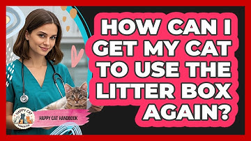 How Can I Get My Cat To Use The Litter Box Again? - Happy Cat Handbook