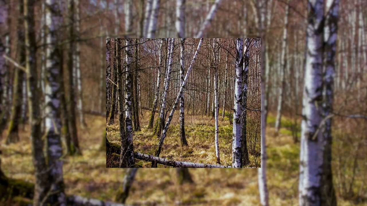 [free] emo trap type beat - 