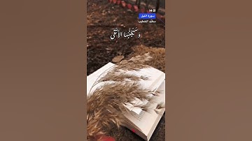 اخر سورة الليل الآية 14-21