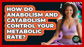 How Do Anabolism And Catabolism Control Your Metabolic Rate? - High Energy Training Hub