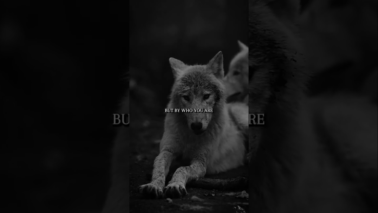 Live in the moment 💯 #brand #motivation #champion #quote #lysiun