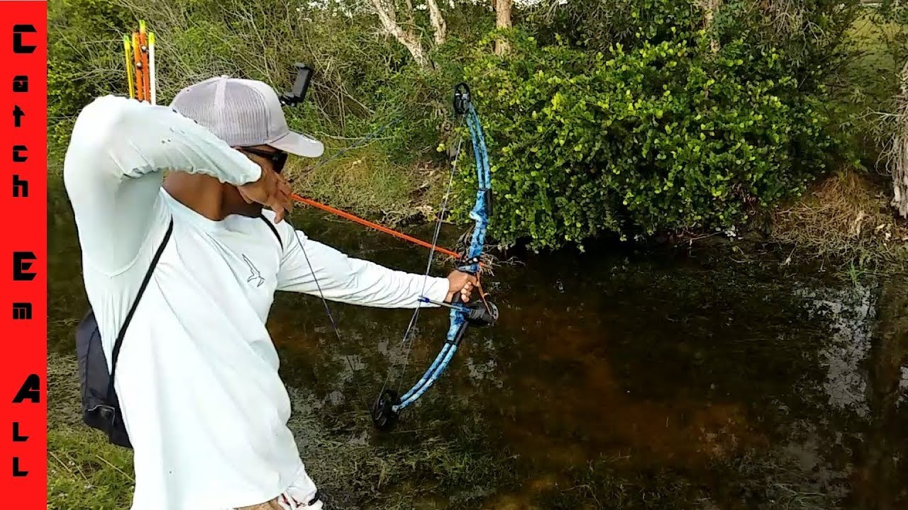 BOWFISHING SLOW MOTION Compound Bow vs Recurve Bow 