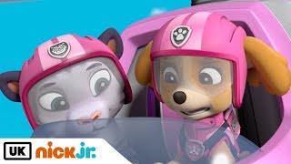 Paw Patrol | Pups Save The Tigers | Nick Jr. UK