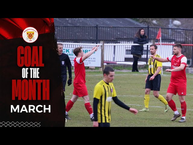 Goal of the Month: March 2023