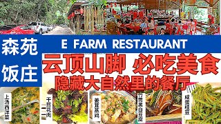 【云顶高原山脚下必吃美食E Farm Restaurant森苑饭馆】隐藏版餐厅 世外桃源环境凉爽食物好吃 价格合理一家大小好聚餐 竹筒豆腐姜茸蒸鸡咸蛋桂豆Must Eat At Genting