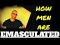 How Men Are EMASCULATED (Ask A Shrink)