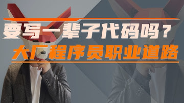 你想写一辈子代码吗？程序员如何实现人生自由，大厂程序员职业道路规划