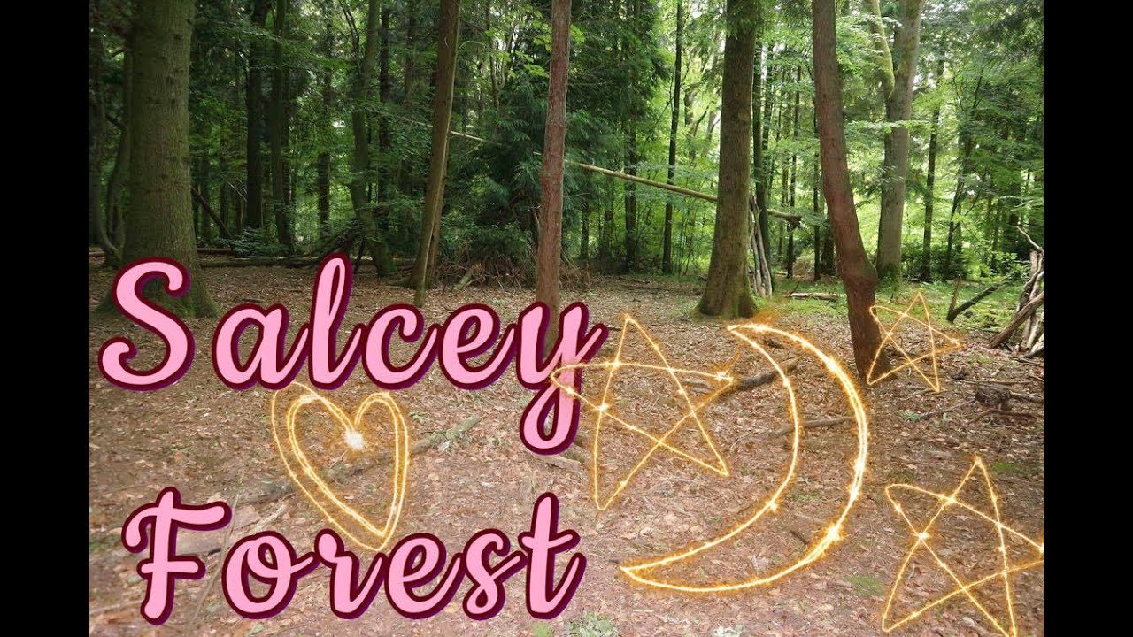 A Trip To Salcey Forest