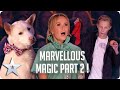 Marvellous MAGIC Moments: Part 2 | BGT 2020