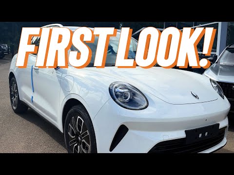First look: GWM ORA 5 BEV