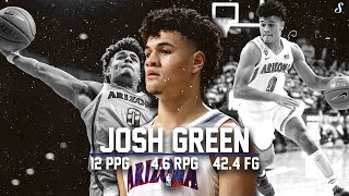 Josh Green Arizona 2019-20 Season Montage | 12.0 PPG 4.6 RPG 42.4 FG% #Mavericks