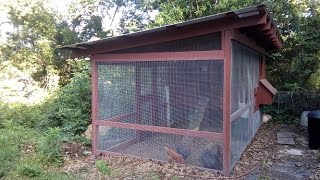 chicken backyard run