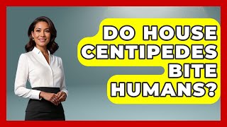 Do House Centipedes Bite Humans? - Insects And Invaders