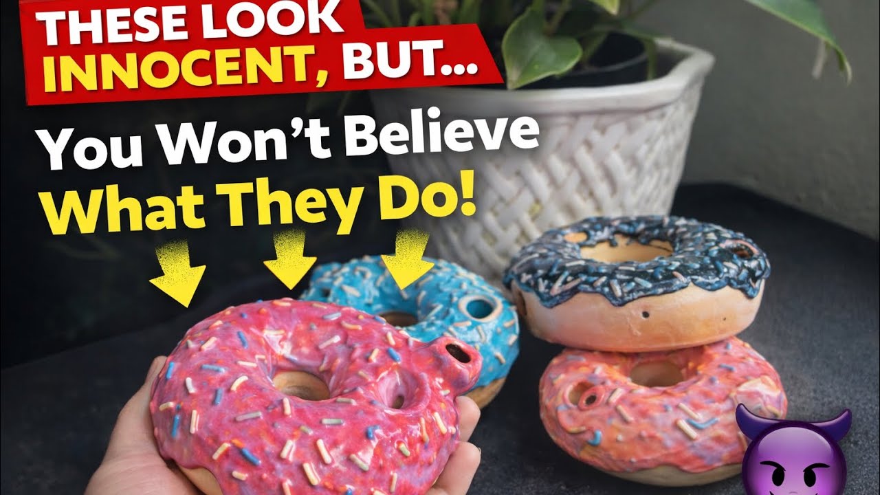 Thumbnail for Wheel Thrown Ceramic Donut… But It’s Actually Functional 😈