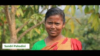 JTDS Documentary on Barbatti Cultivation screenshot 5