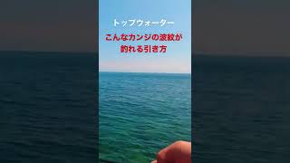 トップで釣れる時の波紋