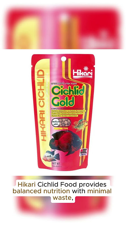 Hikari Cichlid Gold Floating Fish Food MEDIUM Pellets 57 250g #realaquatics #aquarium #cichlids