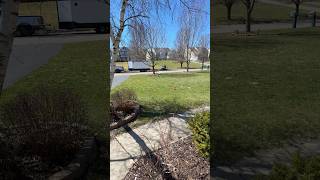 Sure Is Hard To Let One Go, Long Live The King