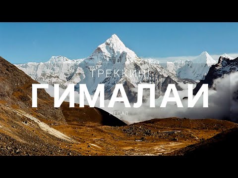 Video: Trekking Da Tè In Nepal Senza Folle