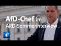 AfD-Chef Chrupalla im ARD-Sommerinterview: "Am Wahlabend wird abgerechnet" | 2021