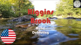Higgins Brook  Metal Detecting  Relic Hunting Maine