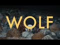 Saint mesa wolf official lyric