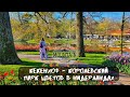 Изучаем Нидерланды: королевский парк цветов Кёкенхоф