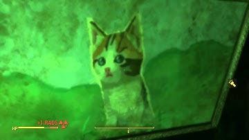 Fallout 4 "Meow" Easter Egg