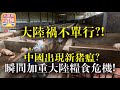 1.23  【大陸禍不單行？!】中國出現新豬瘟？!  瞬間加重大陸糧食危機!