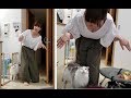 「妖怪アッパレおばば」出現！ ～それにまとわりつく白モフ猫～