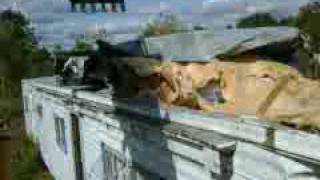 Evicted from the trailer park part 1