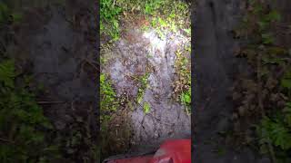 rzr 1000 type s