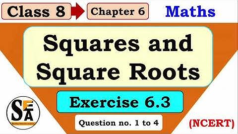 Squares and Square Roots | Exercise 6.3 | Class 8 | Chapter 6 | Mathematics | CBSE board | ncert