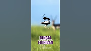 Critically Endangered Species in India - Part 3 #critically_endangered  #upsc #iucn