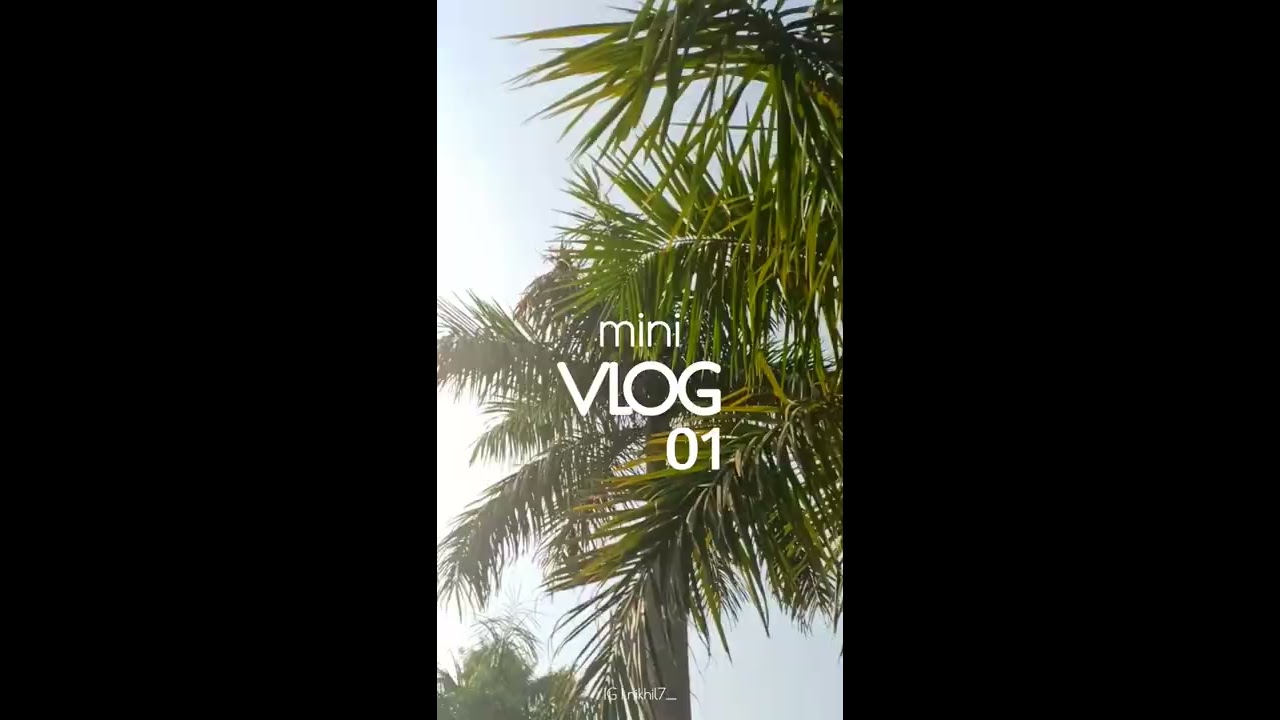 Mini Vlog 01 Instagram Reels Sean Paul No Lie Ft Dua Lipa Shot On Realme 8 Zodiac