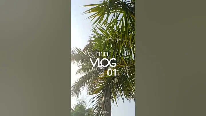 Mini Vlog 01 | Instagram reels | Sean Paul - No Lie ft. Dua Lipa | Shot on Realme 8 | Zodiac