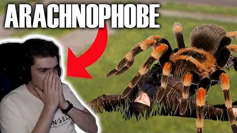 ARACHNOPHOBES HATE THIS GAME! | RECURSIVE HATE - SPIDER HELL