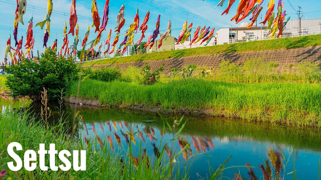 摂津市 大正川の鯉のぼり Osaka Walk - Settsu City Carp Streamer 4K